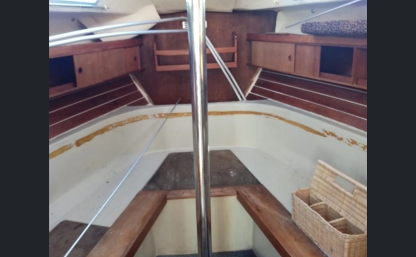 Flipper Futura-kuva-4